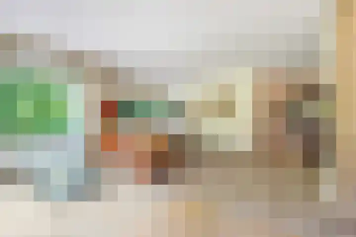 Van Alkemadelaan 119 Den Haag thumbnail 5