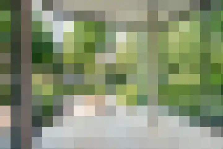 Van Alkemadelaan 119 Den Haag thumbnail 7