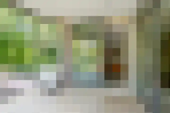 Van Alkemadelaan 119 Den Haag thumbnail 8