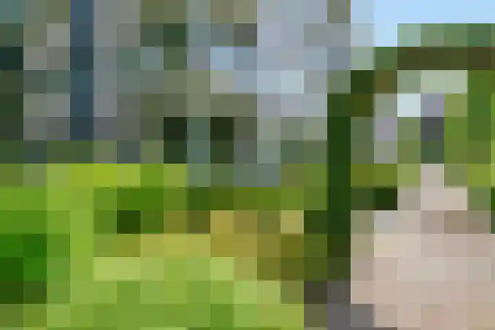 Van Alkemadelaan 119 Den Haag thumbnail 9