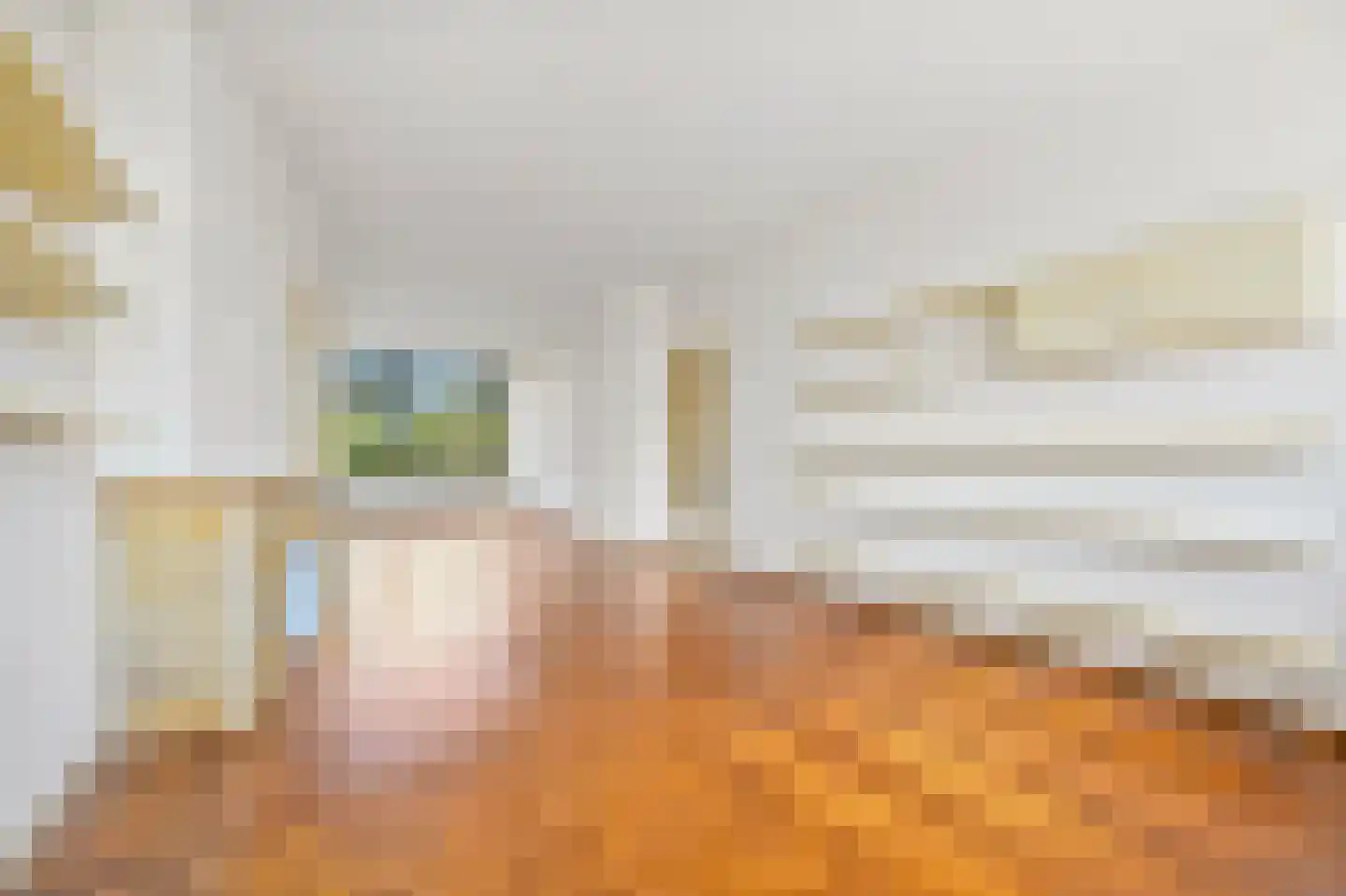 Van Alkemadelaan 1224 Den Haag thumbnail 12