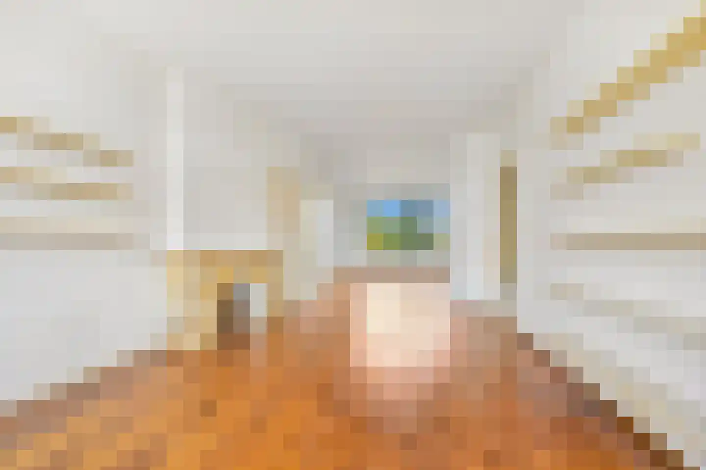 Van Alkemadelaan 1224 Den Haag thumbnail 14