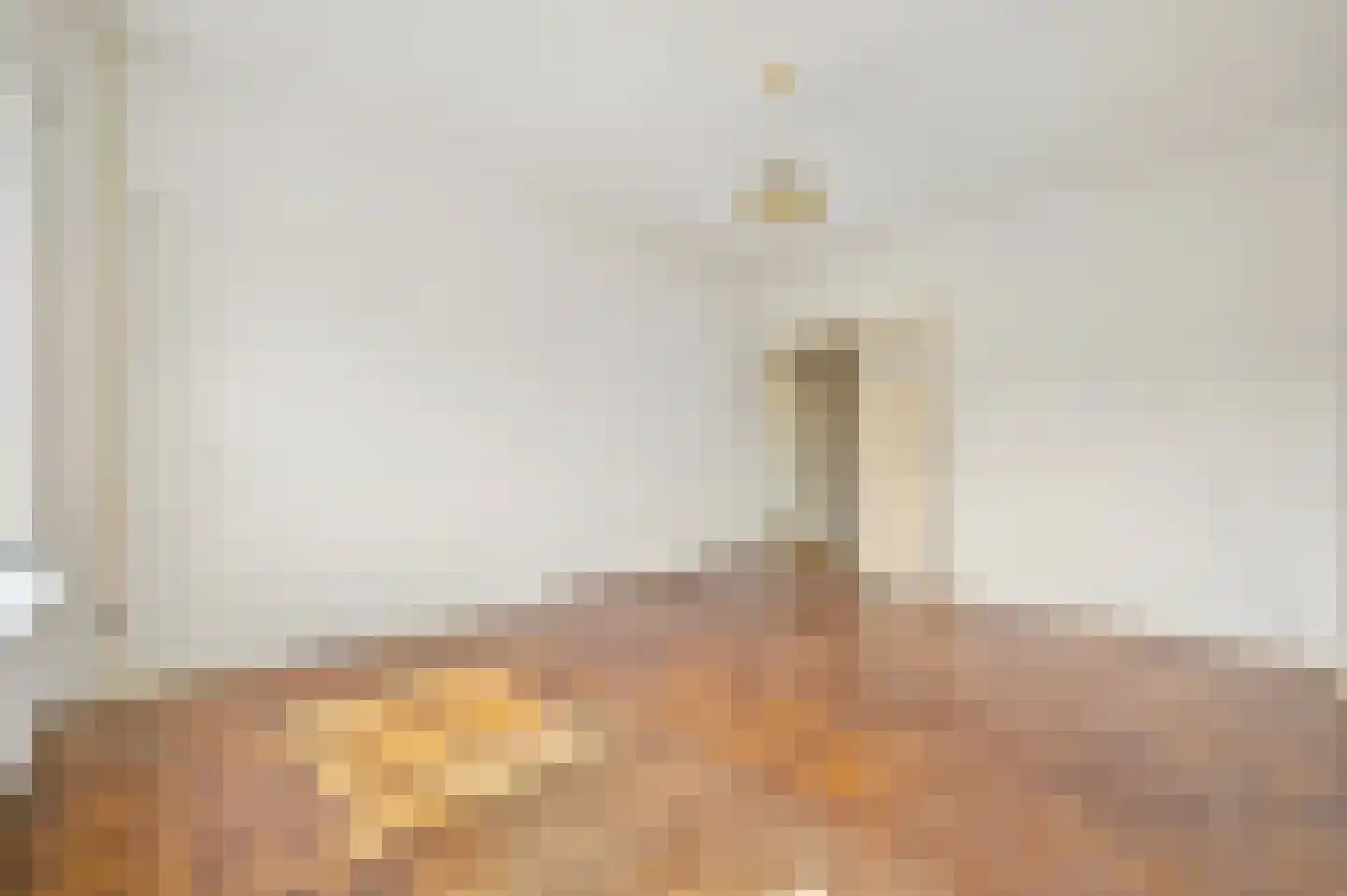 Van Alkemadelaan 1224 Den Haag thumbnail 27