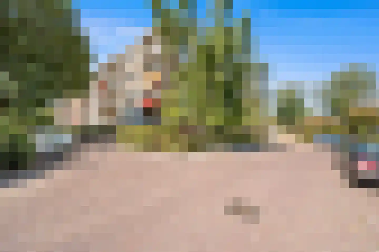 Van Alkemadelaan 1224 Den Haag thumbnail 32