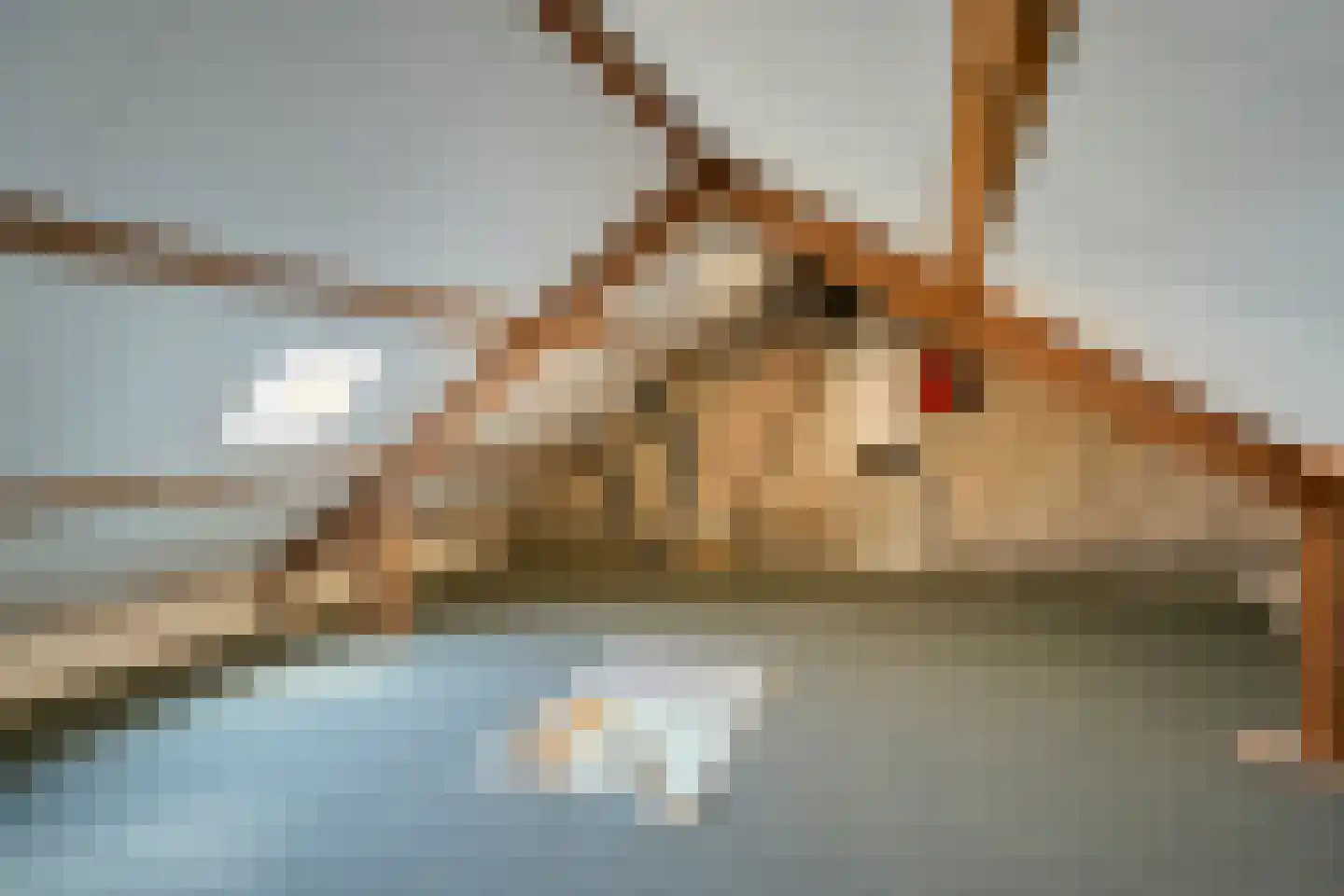 Van Alkemadelaan 15 Limmen thumbnail 20