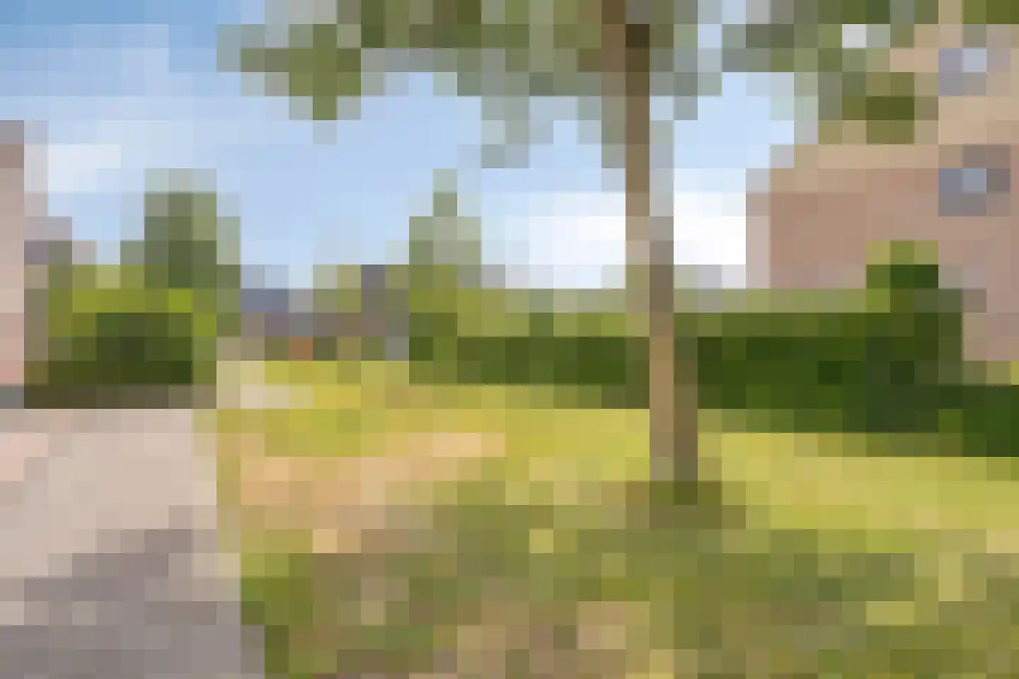 Van Alkemadelaan 15 Limmen thumbnail 28