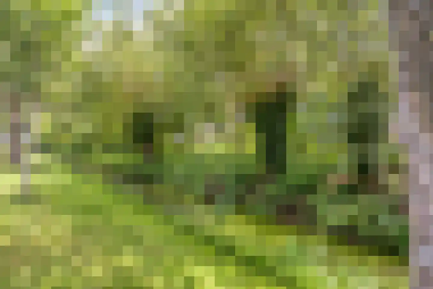 Van Alkemadelaan 15 Limmen thumbnail 30