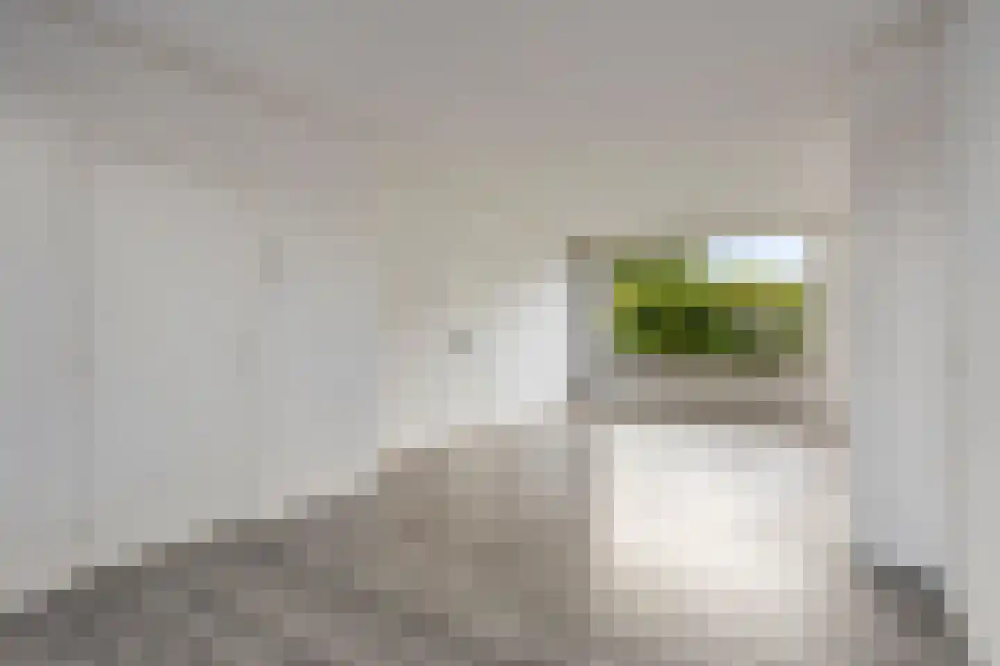 Van Alkemadelaan 15 Limmen thumbnail 6
