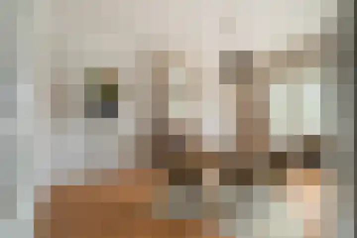 Van Alkemadelaan 16 Den Haag thumbnail 11