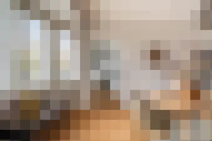 Van Alkemadelaan 16 Den Haag thumbnail 13
