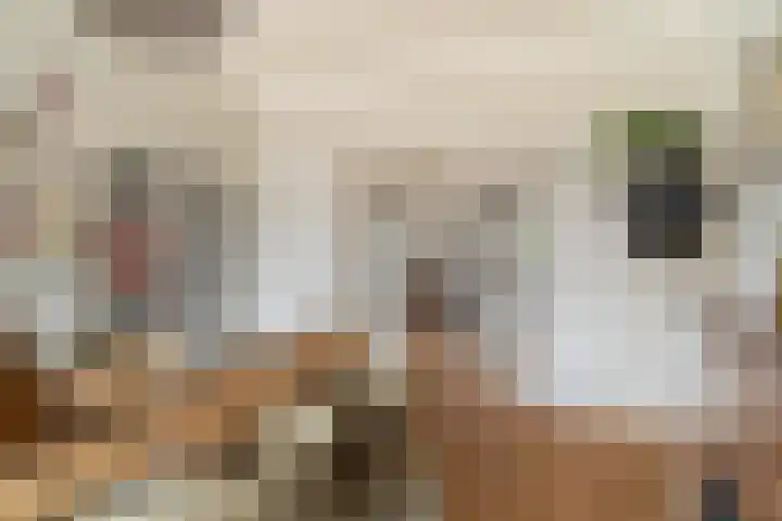 Van Alkemadelaan 16 Den Haag thumbnail 16