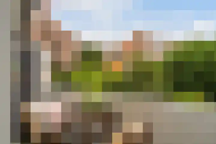 Van Alkemadelaan 16 Den Haag thumbnail 17