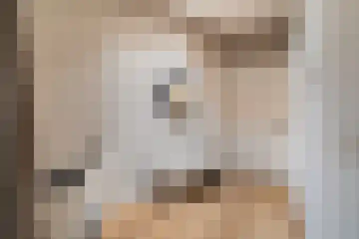 Van Alkemadelaan 16 Den Haag thumbnail 19