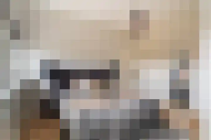 Van Alkemadelaan 16 Den Haag thumbnail 21