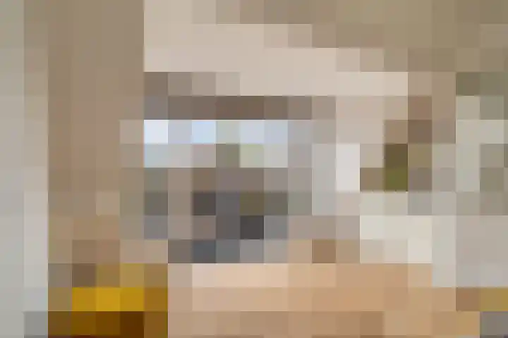 Van Alkemadelaan 16 Den Haag thumbnail 26