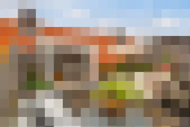 Van Alkemadelaan 16 Den Haag thumbnail 28