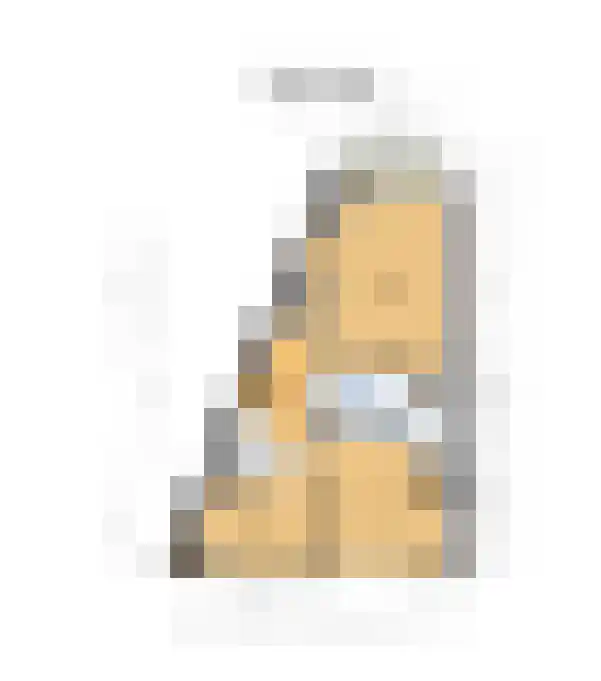 Van Alkemadelaan 16 Den Haag thumbnail 31