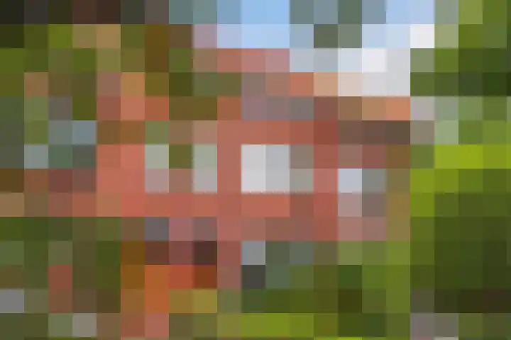 Van Alkemadelaan 16 Den Haag thumbnail 4
