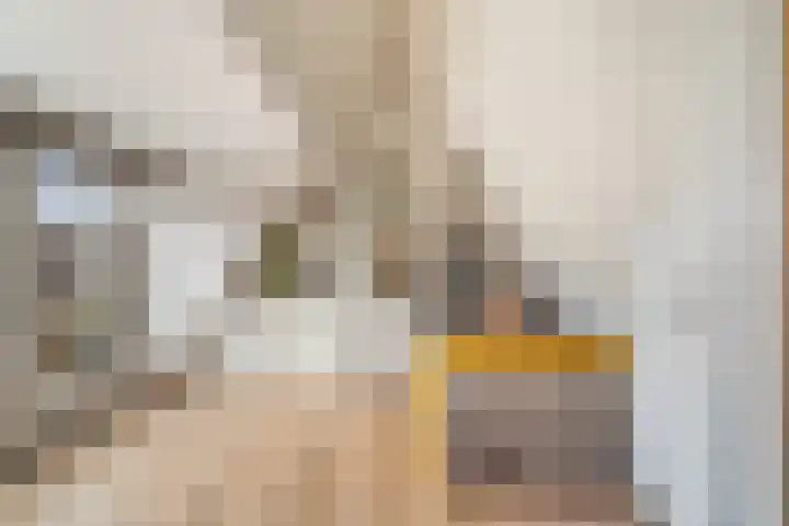 Van Alkemadelaan 16 Den Haag thumbnail 5