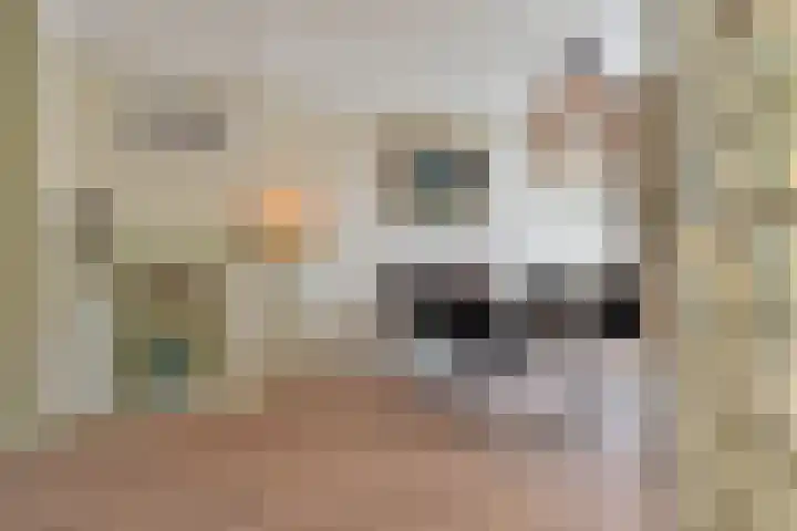 Van Alkemadelaan 173 Den Haag thumbnail 10