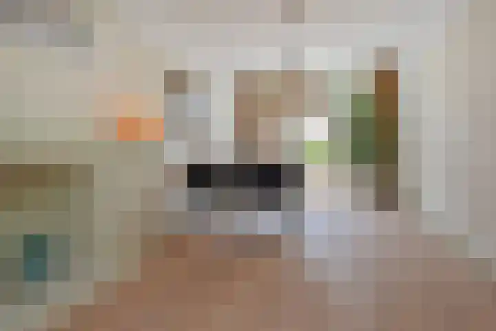 Van Alkemadelaan 173 Den Haag thumbnail 11