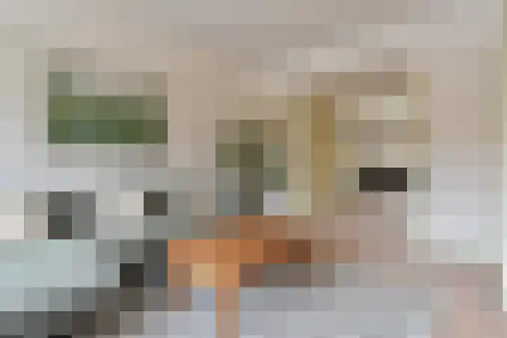 Van Alkemadelaan 173 Den Haag thumbnail 12