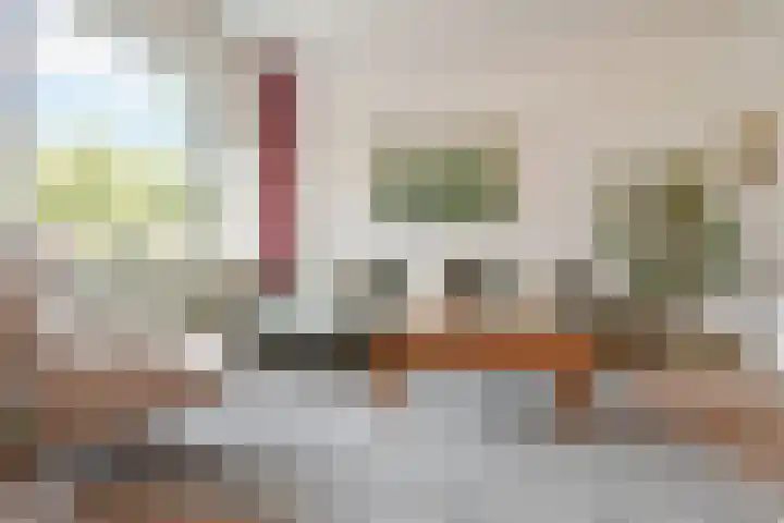 Van Alkemadelaan 173 Den Haag thumbnail 13