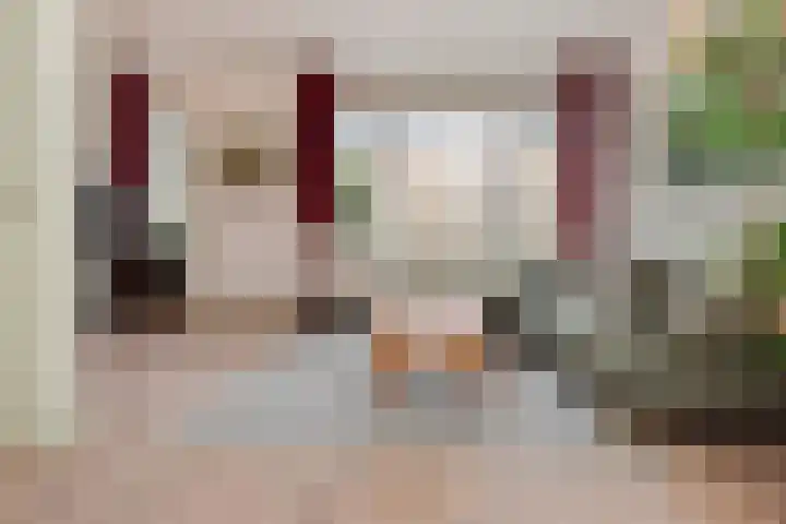 Van Alkemadelaan 173 Den Haag thumbnail 14
