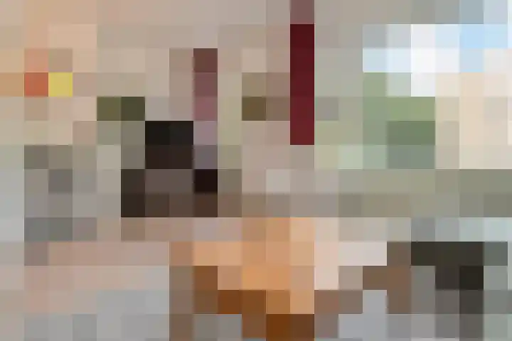Van Alkemadelaan 173 Den Haag thumbnail 15
