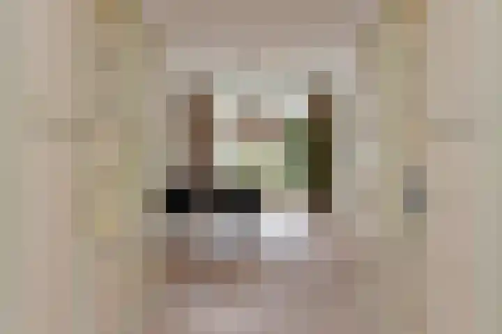 Van Alkemadelaan 173 Den Haag thumbnail 18