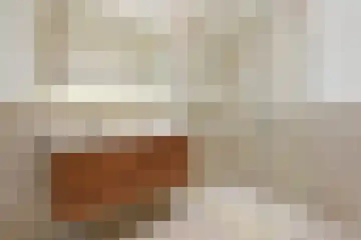 Van Alkemadelaan 173 Den Haag thumbnail 32