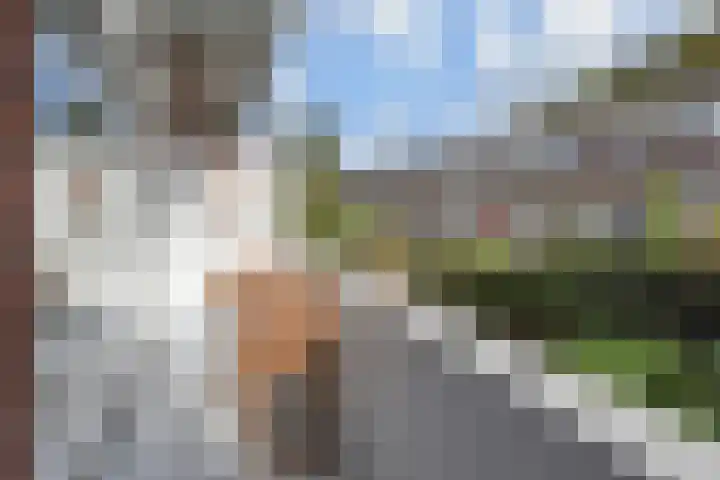Van Alkemadelaan 173 Den Haag thumbnail 35