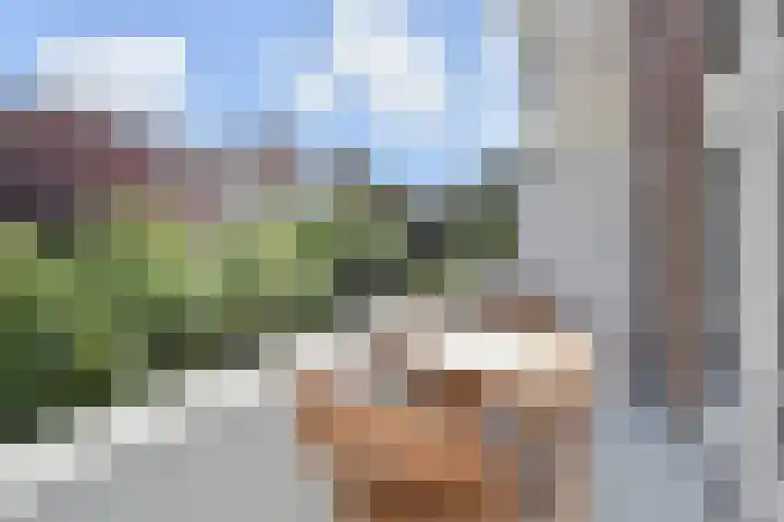 Van Alkemadelaan 173 Den Haag thumbnail 36