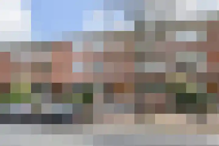 Van Alkemadelaan 173 Den Haag thumbnail 5