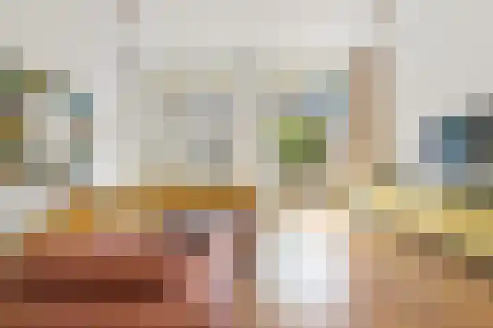Van Alkemadelaan 2 Den Haag thumbnail 11
