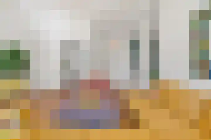 Van Alkemadelaan 2 Den Haag thumbnail 12