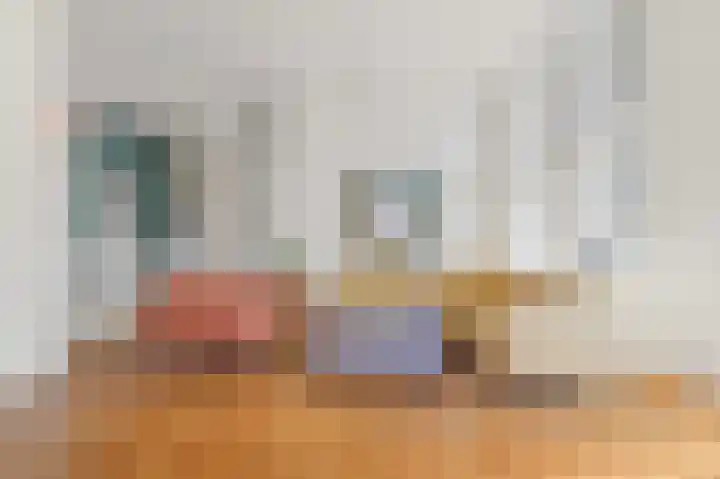 Van Alkemadelaan 2 Den Haag thumbnail 13