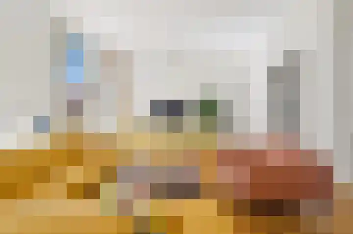Van Alkemadelaan 2 Den Haag thumbnail 14