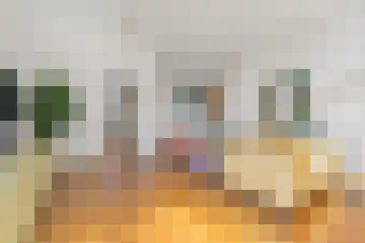 Van Alkemadelaan 2 Den Haag thumbnail 15