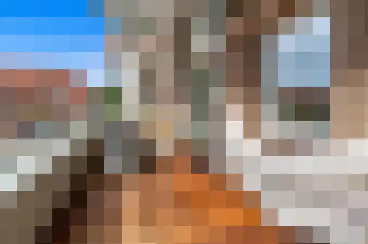 Van Alkemadelaan 2 Den Haag thumbnail 17
