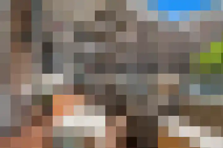 Van Alkemadelaan 2 Den Haag thumbnail 18