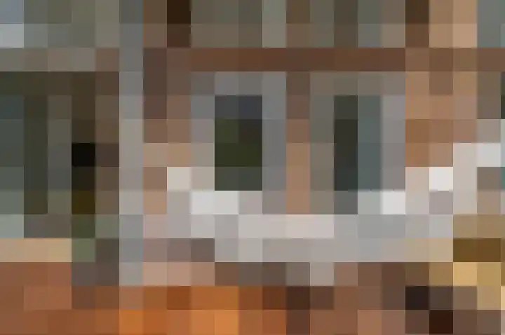 Van Alkemadelaan 2 Den Haag thumbnail 20