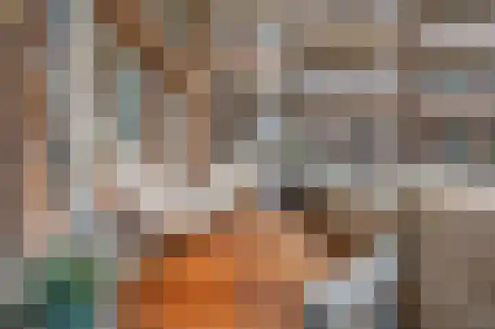 Van Alkemadelaan 2 Den Haag thumbnail 21