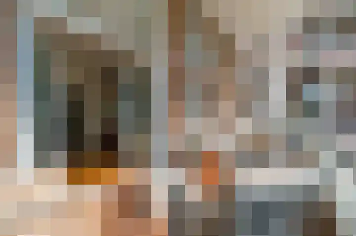 Van Alkemadelaan 2 Den Haag thumbnail 22