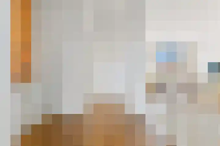 Van Alkemadelaan 2 Den Haag thumbnail 23