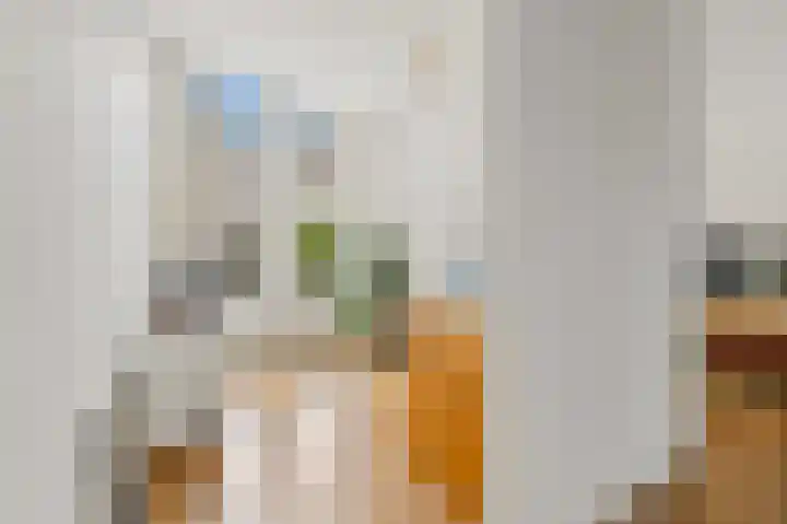 Van Alkemadelaan 2 Den Haag thumbnail 24
