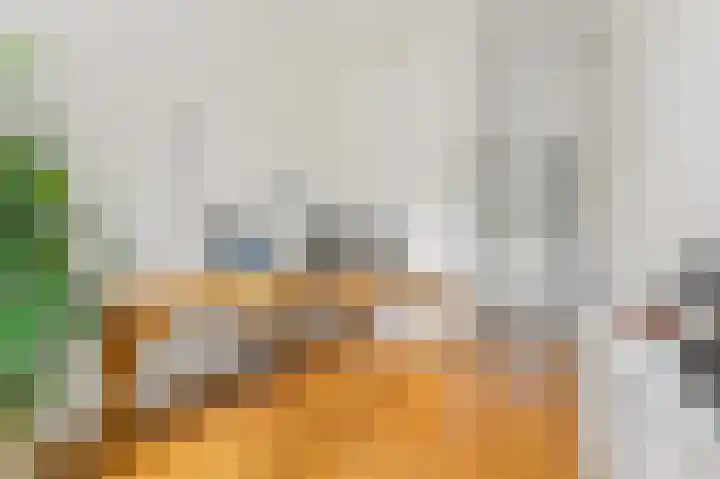 Van Alkemadelaan 2 Den Haag thumbnail 25