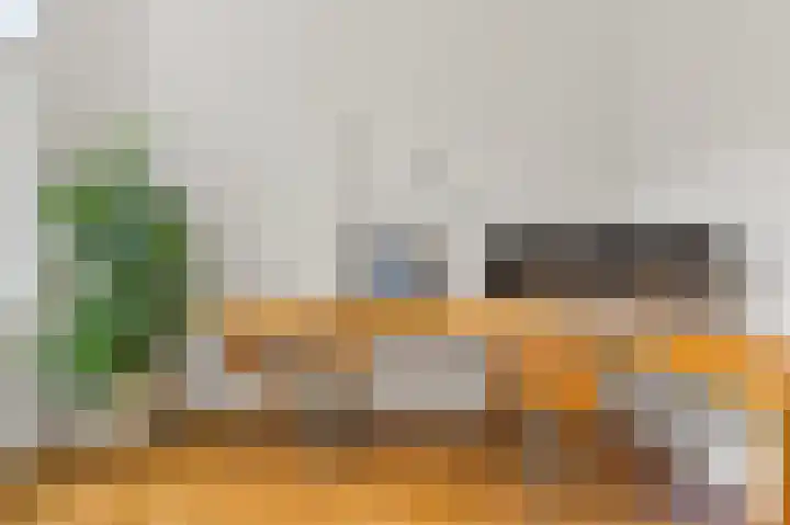 Van Alkemadelaan 2 Den Haag thumbnail 27