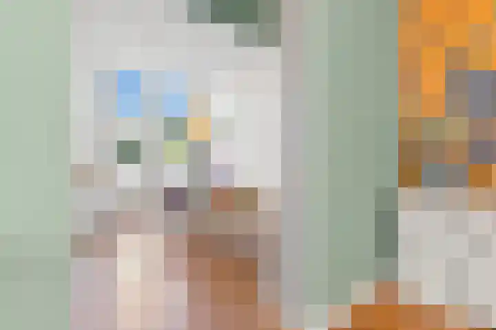Van Alkemadelaan 2 Den Haag thumbnail 28