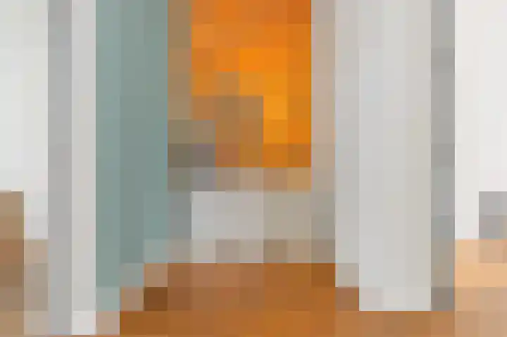 Van Alkemadelaan 2 Den Haag thumbnail 29
